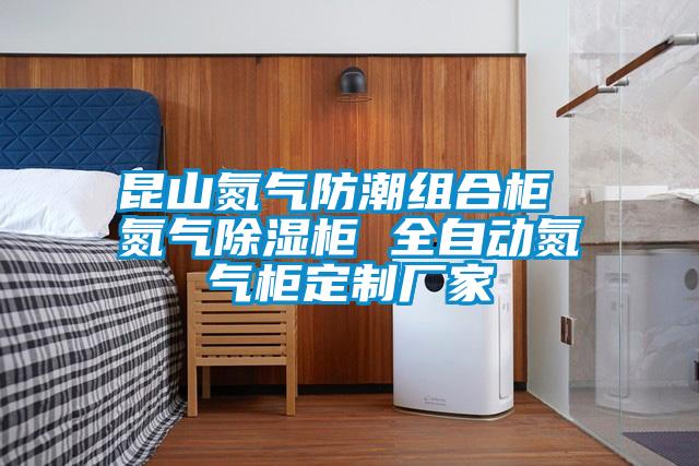 昆山氮?dú)夥莱苯M合柜 氮?dú)獬凉窆?全自動(dòng)氮?dú)夤穸ㄖ茝S家