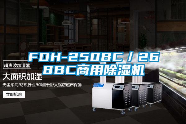 FDH-250BC/268BC商用除濕機