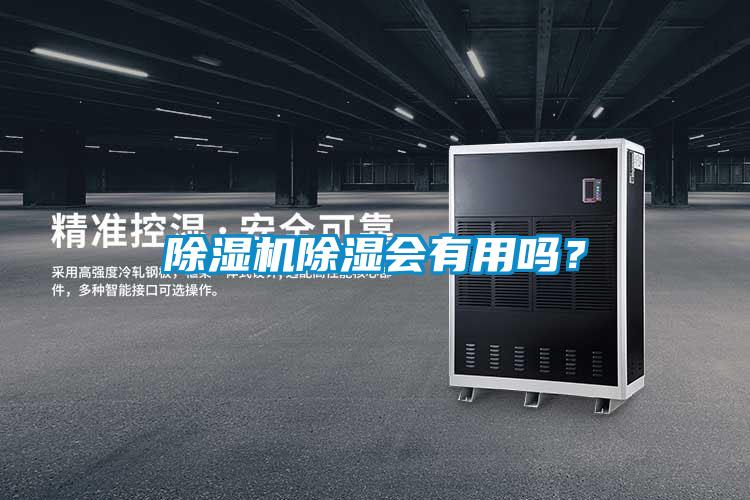 除濕機(jī)除濕會(huì)有用嗎?