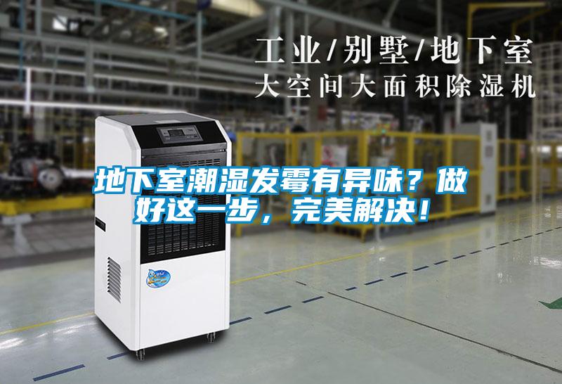 地下室潮濕發(fā)霉有異味？做好這一步，完美解決！