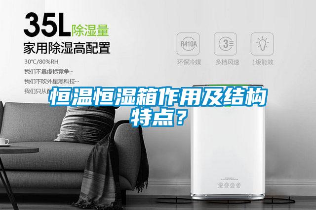 恒溫恒濕箱作用及結(jié)構(gòu)特點(diǎn)?