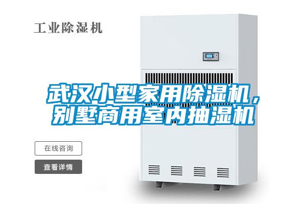 武漢小型家用除濕機，別墅商用室內抽濕機