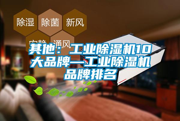 其他:工業(yè)除濕機(jī)10大品牌—工業(yè)除濕機(jī)品牌排名