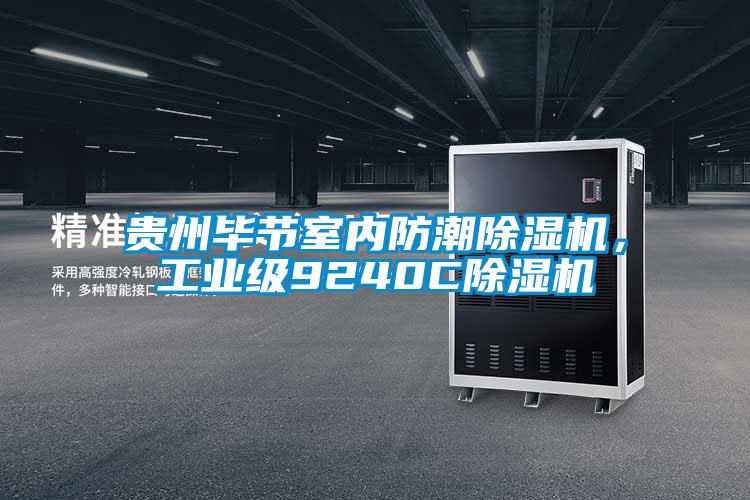 貴州畢節室內防潮除濕機，工業級9240C除濕機