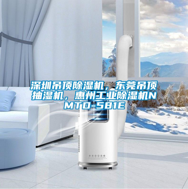 深圳吊頂除濕機(jī),東莞吊頂抽濕機(jī),惠州工業(yè)除濕機(jī)NMTD-581E