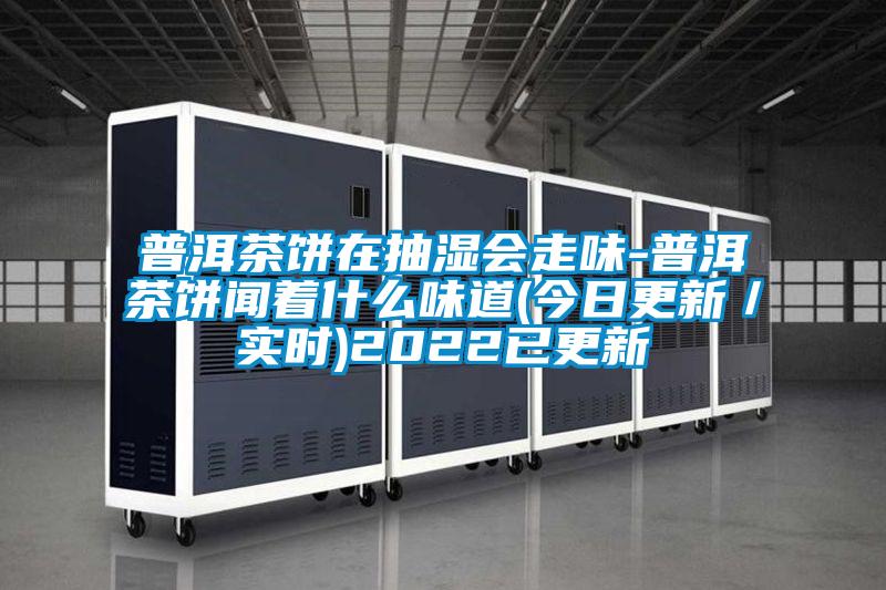 普洱茶餅在抽濕會走味-普洱茶餅聞著什么味道(今日更新/實時)2022已更新