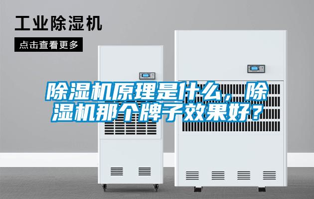 除濕機原理是什么，除濕機那個牌子效果好？