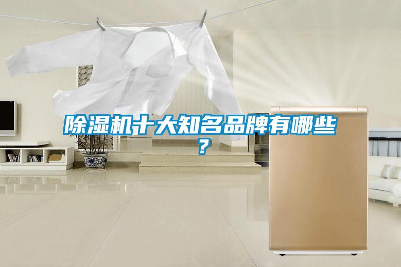 除濕機十大知名品牌有哪些?