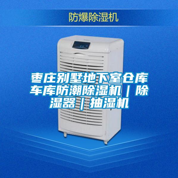 棗莊別墅地下室倉庫車庫防潮除濕機|除濕器|抽濕機