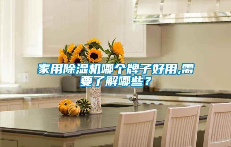 家用除濕機哪個牌子好用,需要了解哪些?