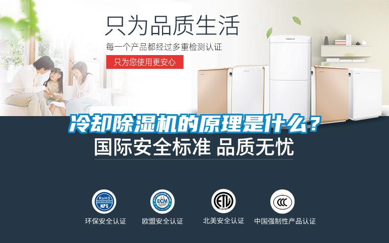 冷卻除濕機的原理是什么?
