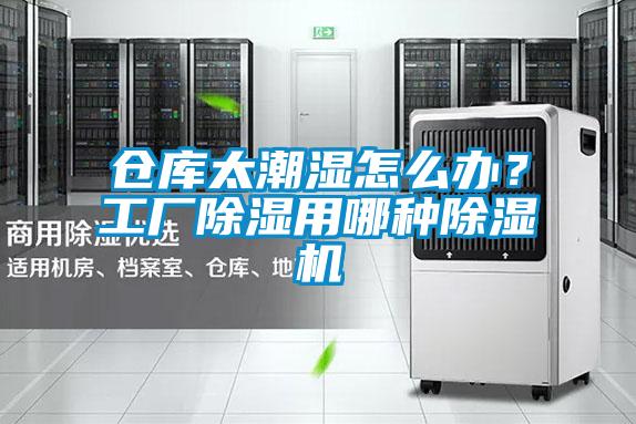 倉庫太潮濕怎么辦?工廠除濕用哪種除濕機