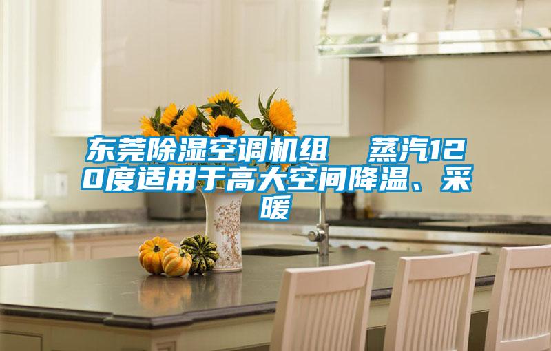 東莞除濕空調(diào)機(jī)組 蒸汽120度適用于高大空間降溫、采暖