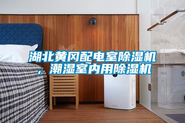 湖北黃岡配電室除濕機，潮濕室內用除濕機