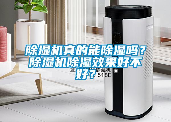 除濕機真的能除濕嗎？除濕機除濕效果好不好？