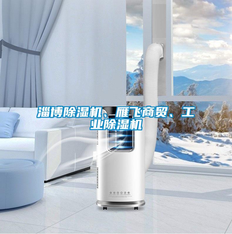 淄博除濕機、雁飛商貿、工業除濕機