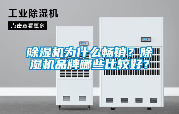 除濕機(jī)為什么暢銷?除濕機(jī)品牌哪些比較好?