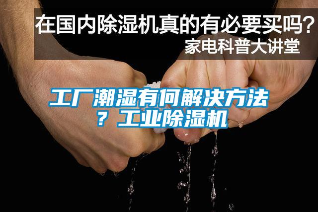工廠潮濕有何解決方法?工業(yè)除濕機(jī)