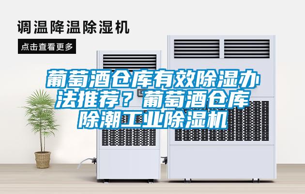 葡萄酒倉庫有效除濕辦法推薦?葡萄酒倉庫除潮工業(yè)除濕機(jī)