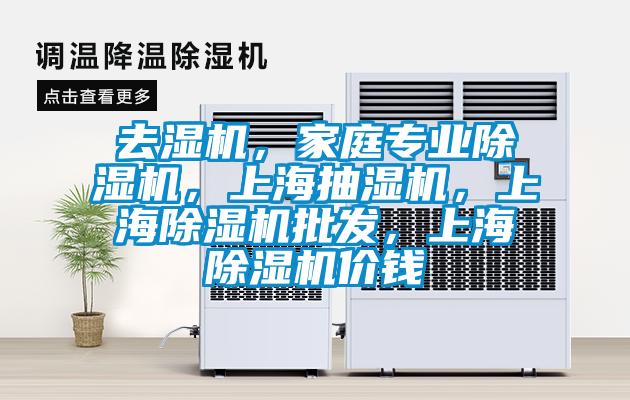去濕機(jī)，家庭專業(yè)除濕機(jī)，上海抽濕機(jī)，上海除濕機(jī)批發(fā)，上海除濕機(jī)價(jià)錢(qián)