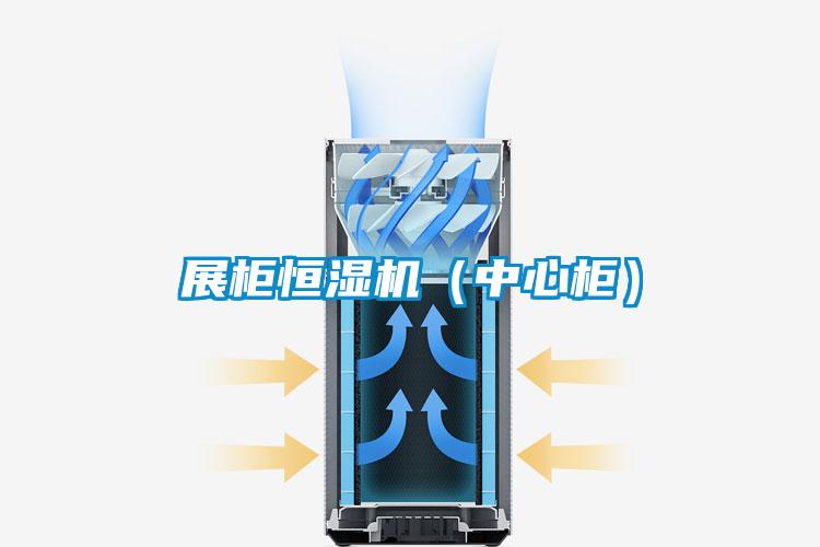 展柜恒濕機(中心柜)