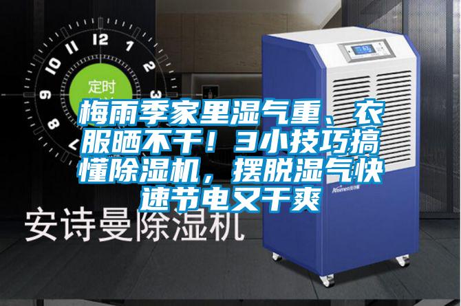 梅雨季家里濕氣重、衣服曬不干!3小技巧搞懂除濕機,擺脫濕氣快速節電又干爽