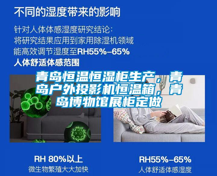 青島恒溫恒濕柜生產,青島戶外投影機恒溫箱,青島博物館展柜定做