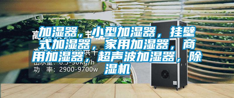 加濕器，小型加濕器，掛壁式加濕器，家用加濕器，商用加濕器，超聲波加濕器，除濕機(jī)