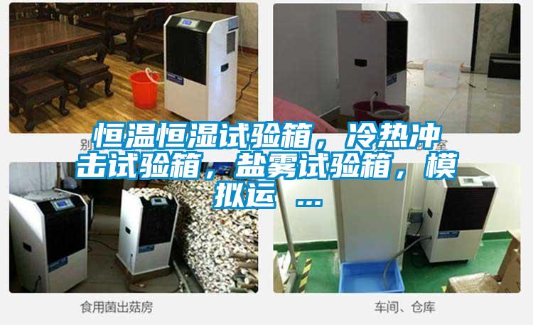 恒溫恒濕試驗箱，冷熱沖擊試驗箱，鹽霧試驗箱，模擬運 ...