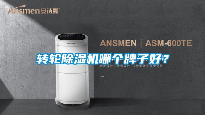 轉(zhuǎn)輪除濕機(jī)哪個牌子好?