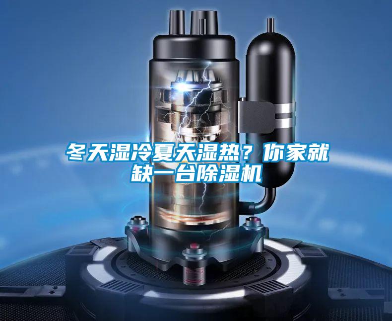 冬天濕冷夏天濕熱?你家就缺一臺除濕機