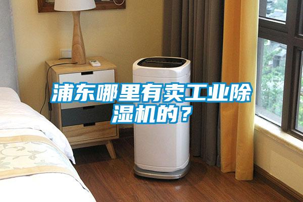 浦東哪里有賣工業(yè)除濕機的？