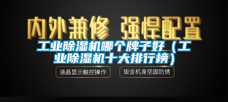 工業(yè)除濕機(jī)哪個牌子好(工業(yè)除濕機(jī)十大排行榜)