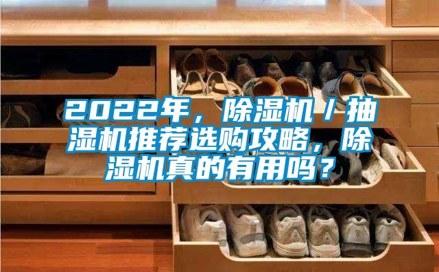 2022年,除濕機(jī)/抽濕機(jī)推薦選購攻略,除濕機(jī)真的有用嗎?