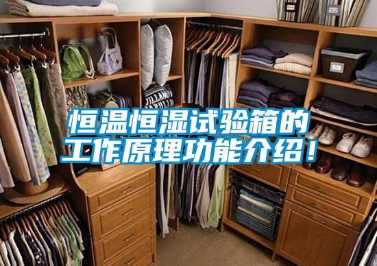 恒溫恒濕試驗箱的工作原理功能介紹！