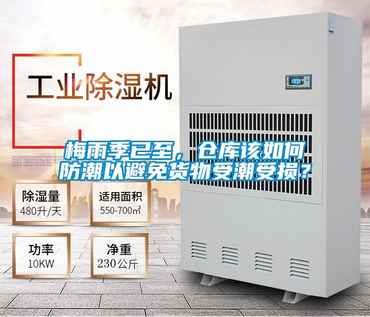 梅雨季已至，倉庫該如何防潮以避免貨物受潮受損？