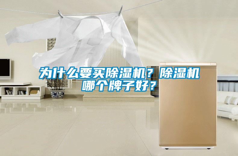 為什么要買除濕機(jī)？除濕機(jī)哪個(gè)牌子好？