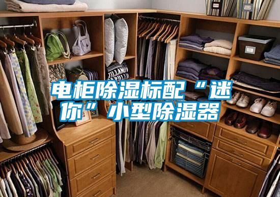 電柜除濕標配“迷你”小型除濕器