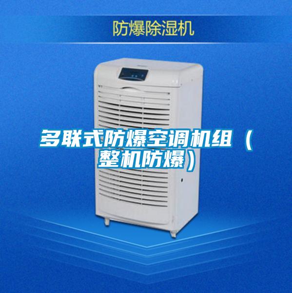 多聯式防爆空調機組(整機防爆)