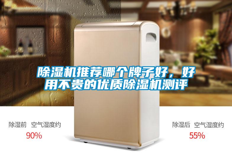 除濕機(jī)推薦哪個(gè)牌子好，好用不貴的優(yōu)質(zhì)除濕機(jī)測(cè)評(píng)