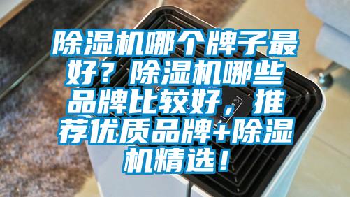 除濕機哪個牌子最好？除濕機哪些品牌比較好，推薦優質品牌+除濕機精選！