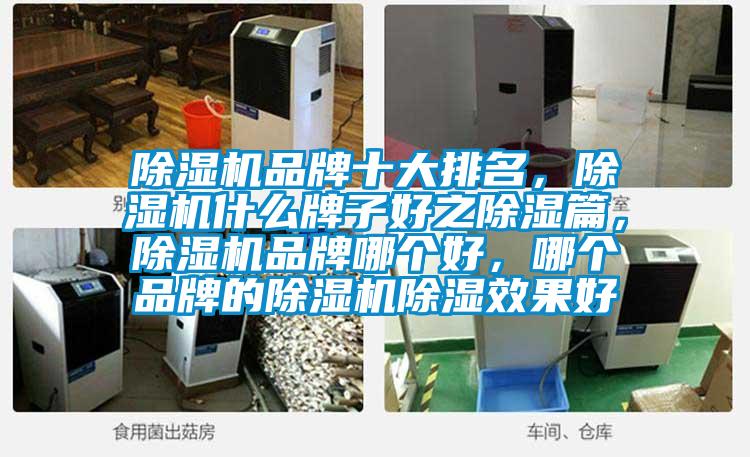 除濕機品牌十大排名，除濕機什么牌子好之除濕篇，除濕機品牌哪個好，哪個品牌的除濕機除濕效果好