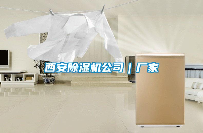 西安除濕機(jī)公司|廠家