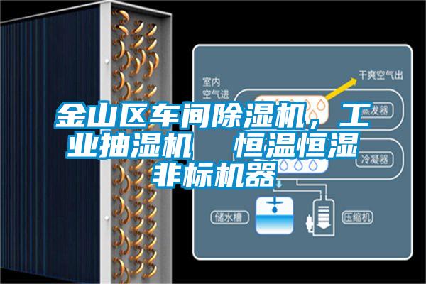 金山區(qū)車間除濕機(jī),工業(yè)抽濕機(jī) 恒溫恒濕非標(biāo)機(jī)器