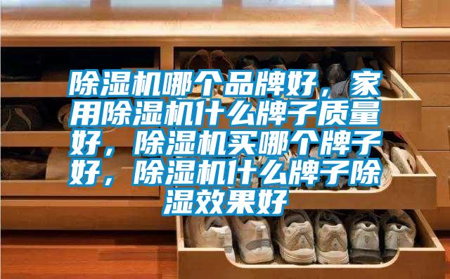 除濕機哪個品牌好,家用除濕機什么牌子質量好,除濕機買哪個牌子好,除濕機什么牌子除濕效果好