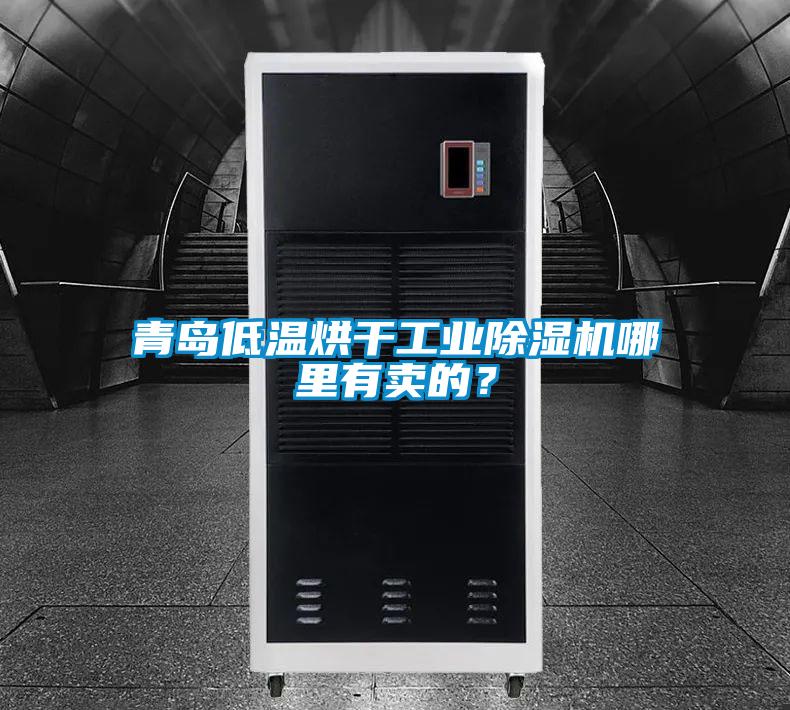 青島低溫烘干工業除濕機哪里有賣的？