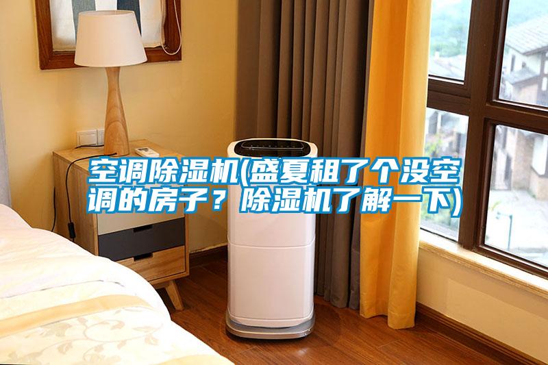 空調(diào)除濕機(jī)(盛夏租了個(gè)沒(méi)空調(diào)的房子？除濕機(jī)了解一下)