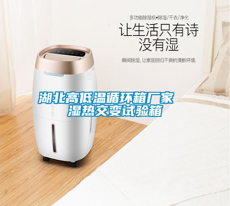 湖北高低溫循環箱廠家 濕熱交變試驗箱