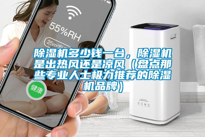 除濕機多少錢一臺,除濕機是出熱風還是涼風(盤點那些專業人士極力推薦的除濕機品牌)
