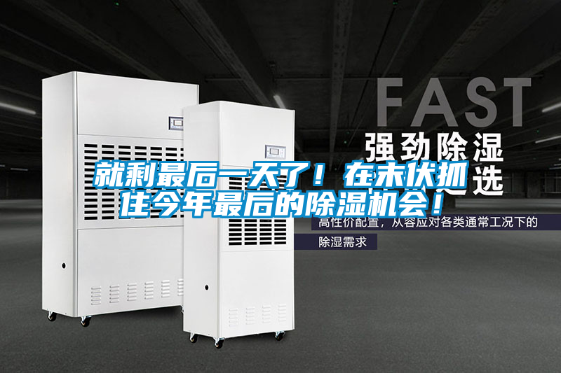 就剩最后一天了！在末伏抓住今年最后的除濕機會！